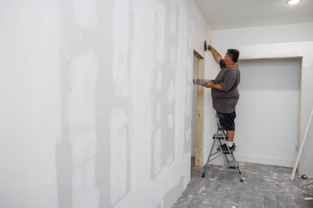 Best Basement Mold Removal  in Clarion, PA